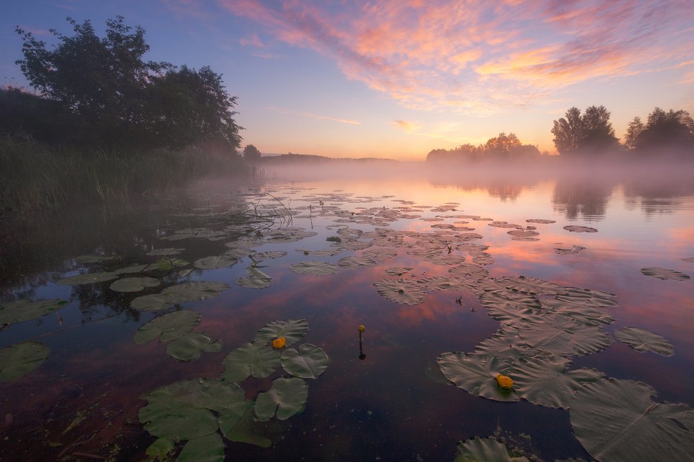 Встречая лето.