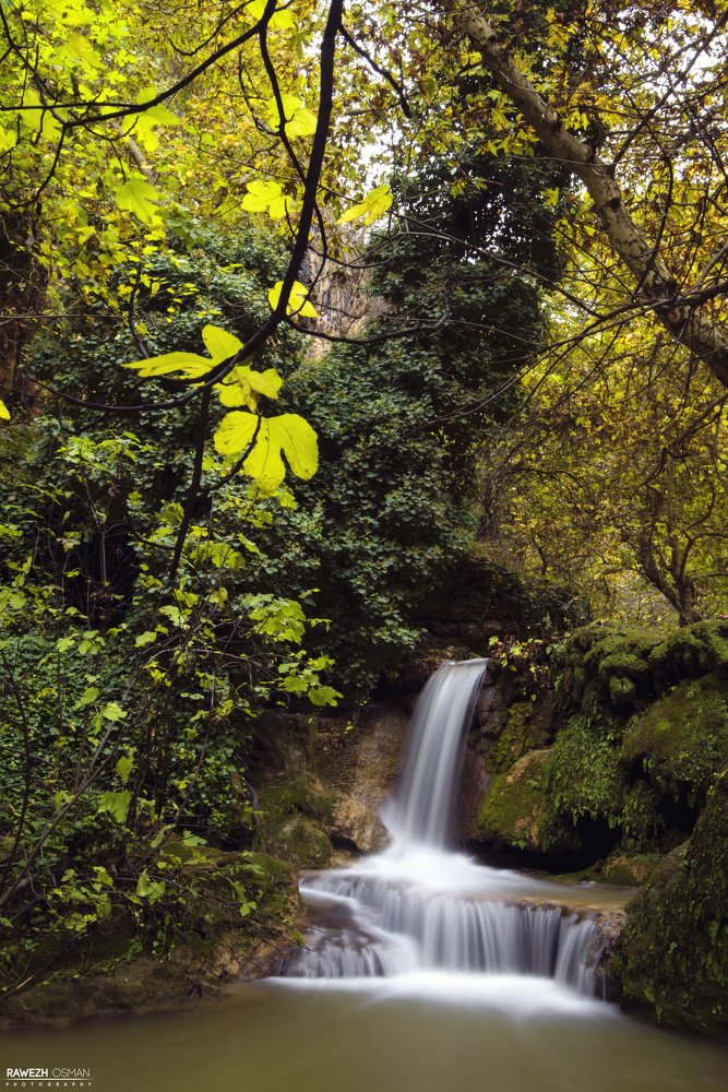 waterfall from my autumn