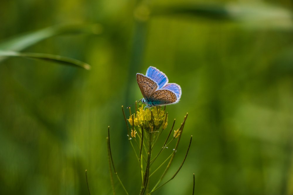 photo take with canon 750D