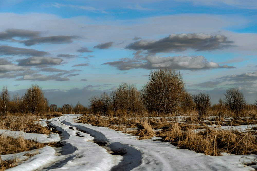 Мартовское бездорожье