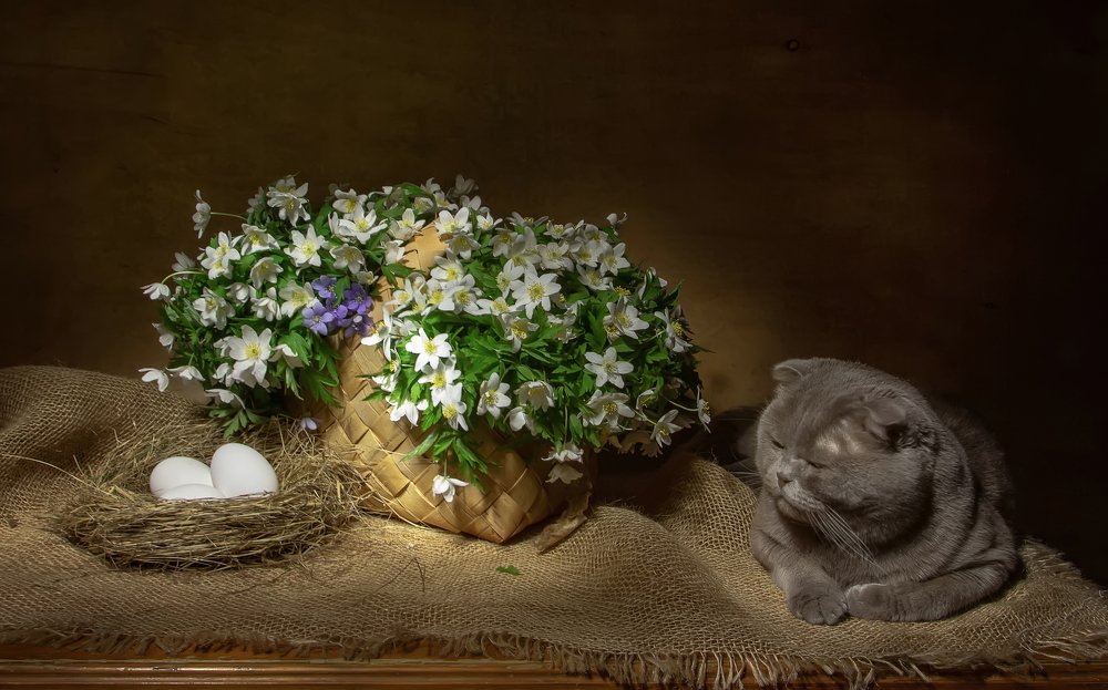 Хранитель гнездышка:)