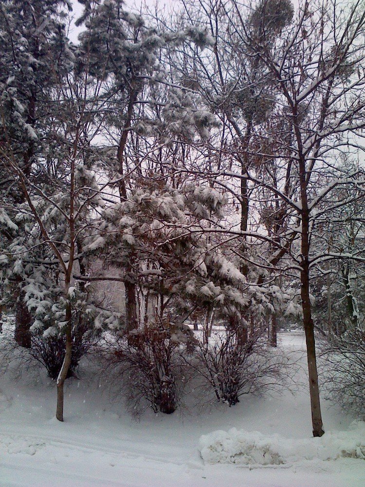 winter