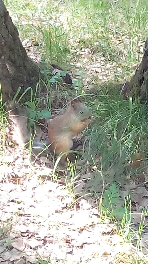 Photograph by Елена Кирпичникова