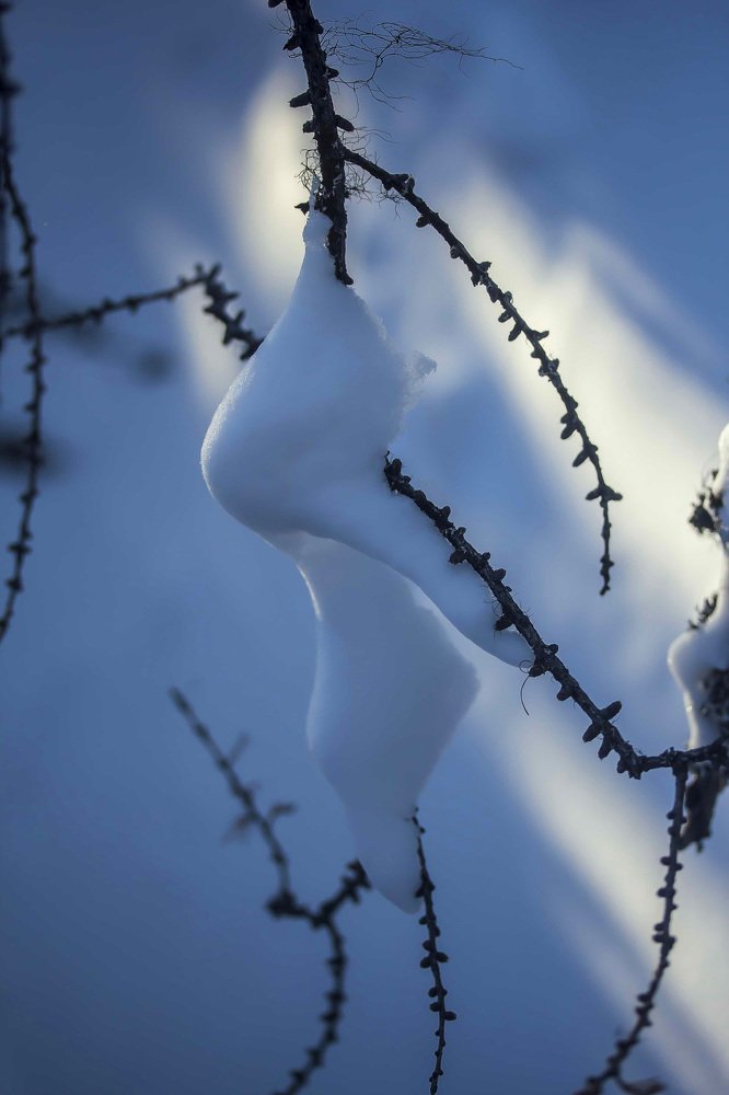 Мимолетный лик весны