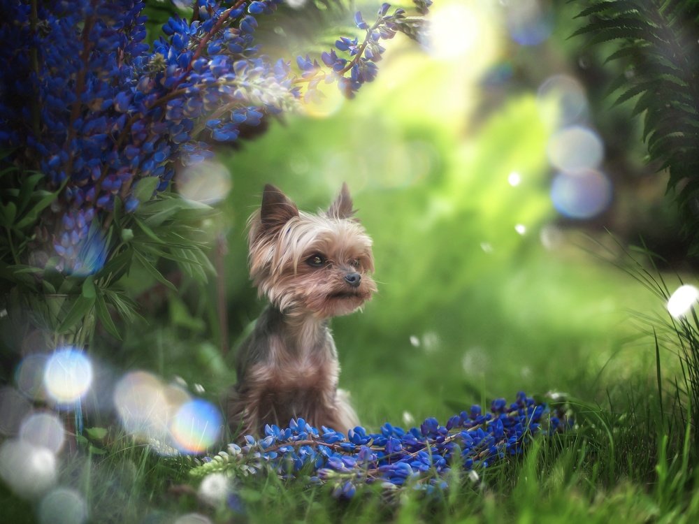 Photograph by Юлиана Джус