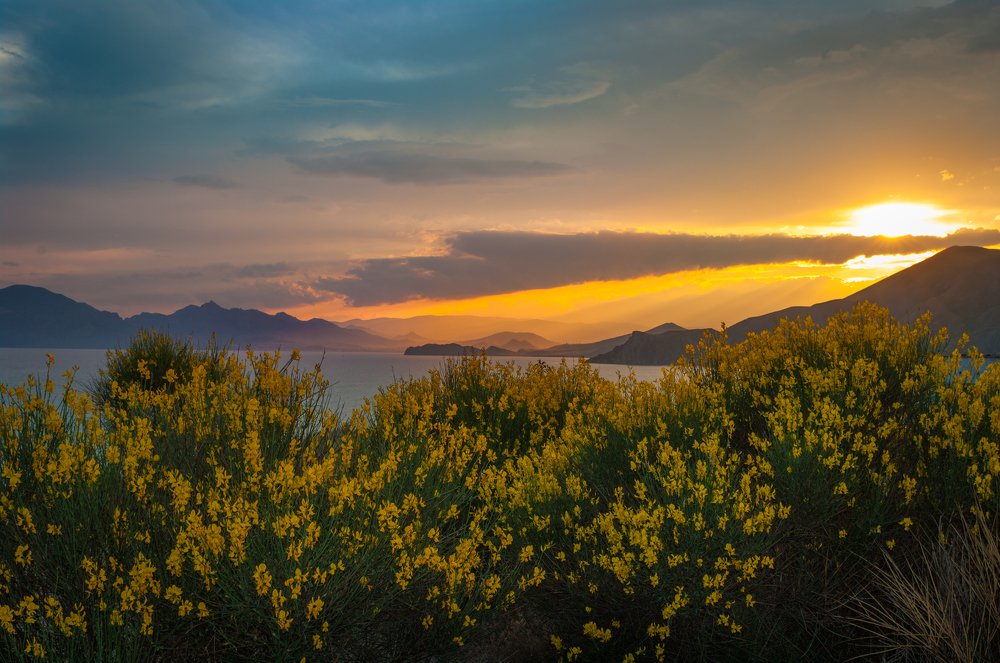 Закат в метельнике