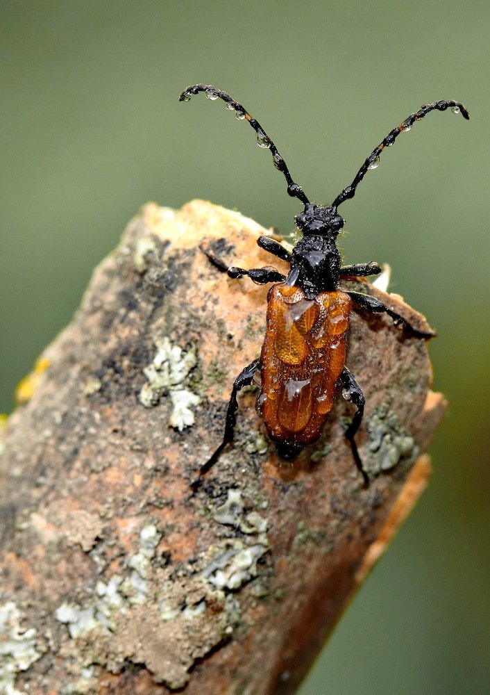 Photograph by Игорь Осипов