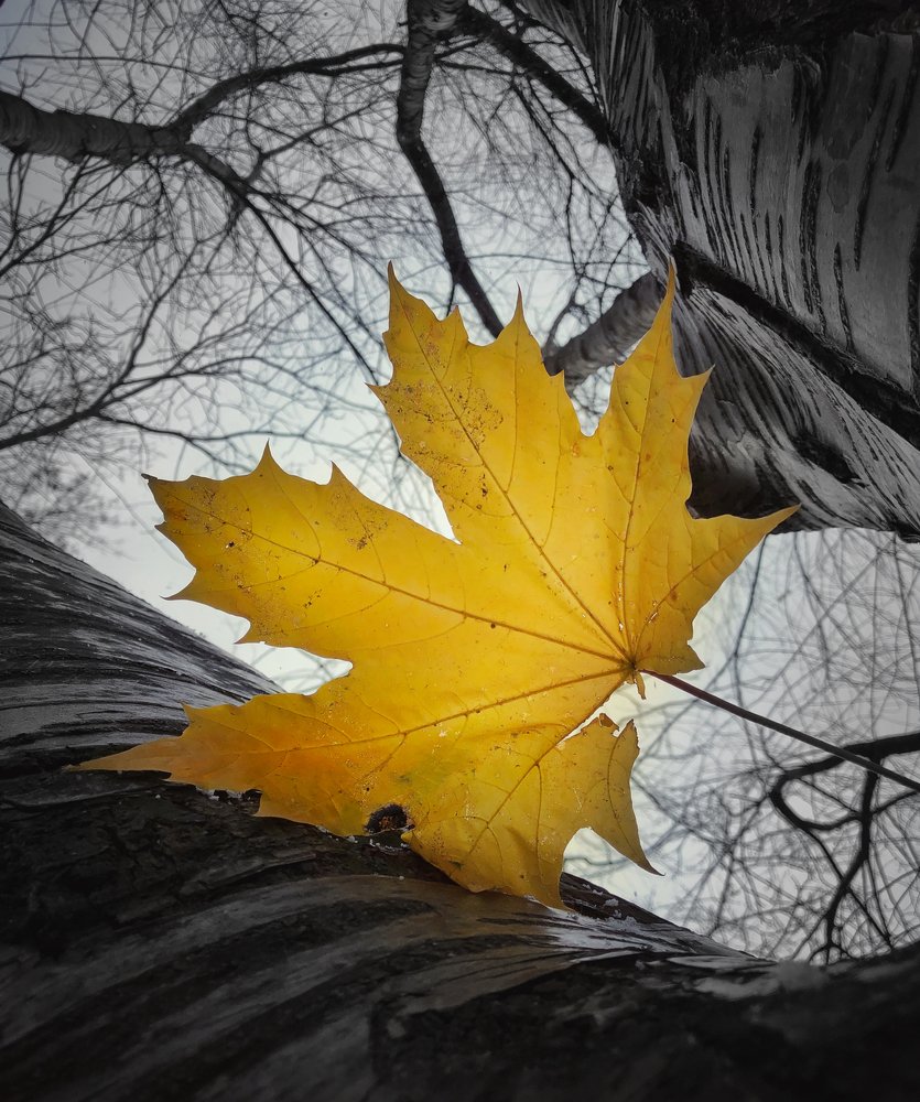 Photograph by Валентина Старикова