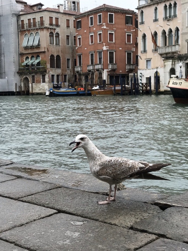 Photograph by Олег