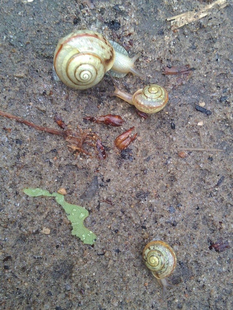 Photograph by Инна Голубева