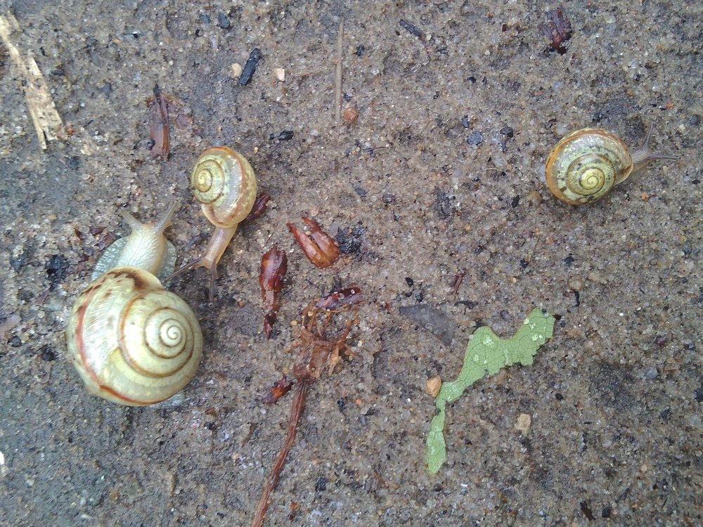 Photograph by Инна Голубева