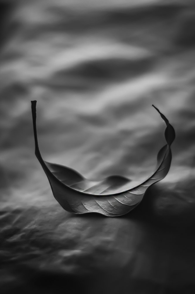Wither