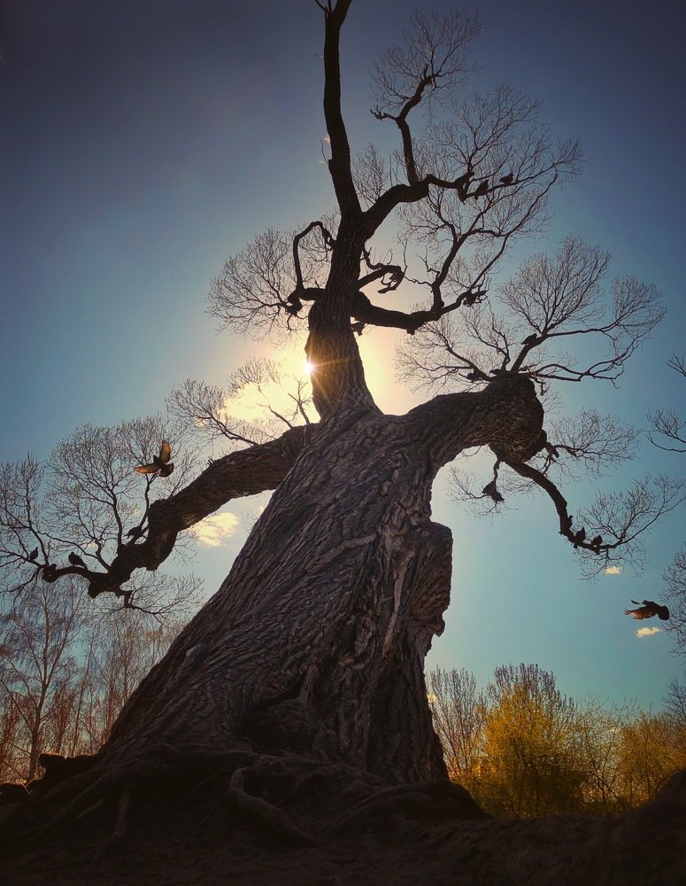 Photograph by Валентина Старикова