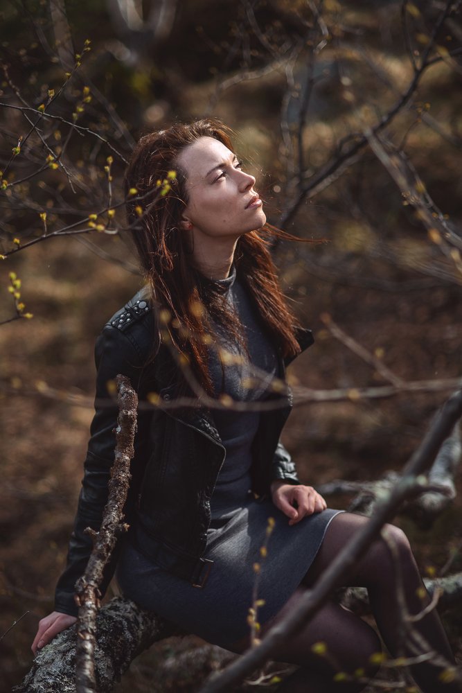 Суровый север