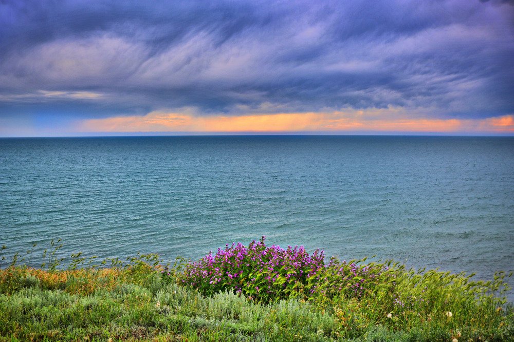 После дождя