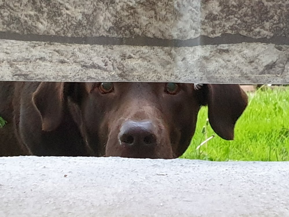 Photograph by Инга