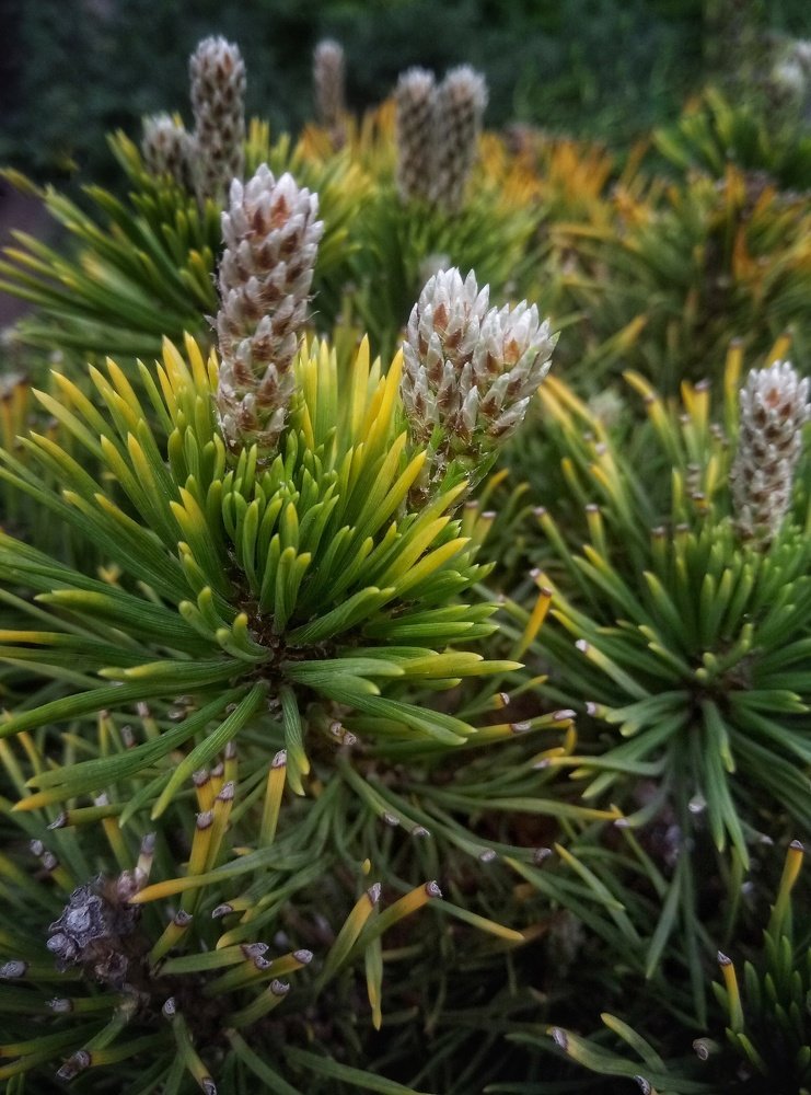 Photograph by Евгения Сафронова