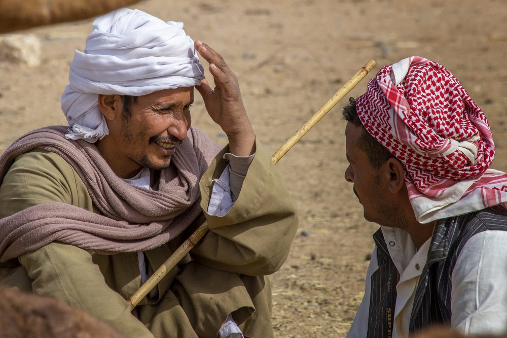 Discussion in Camel Market