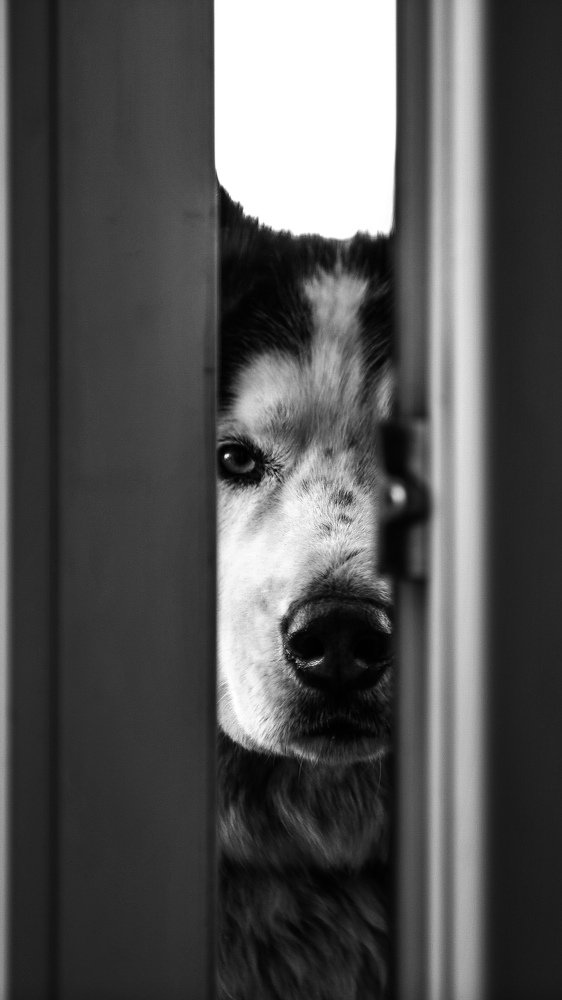 Попробуй быть серьёзнее