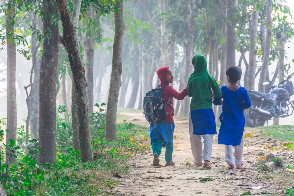 Road to Literacy