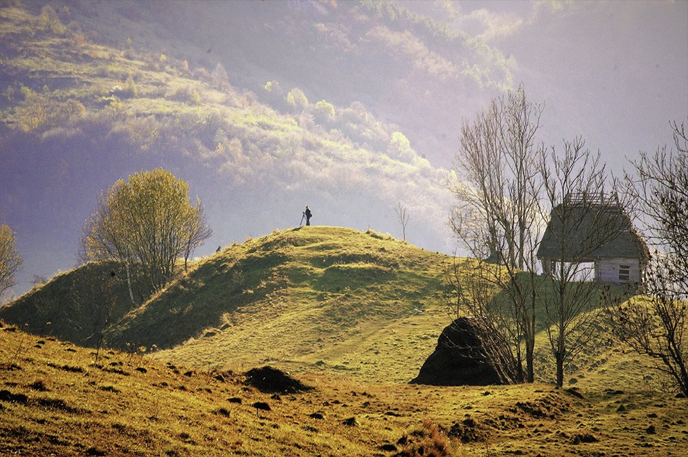 Apuseni