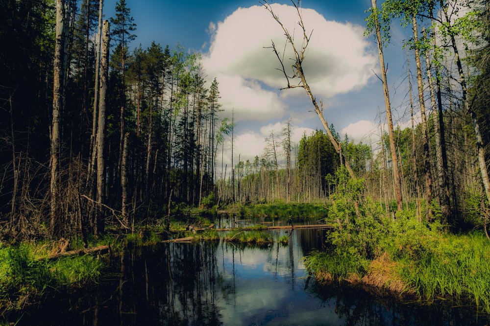 окрестности Селигера