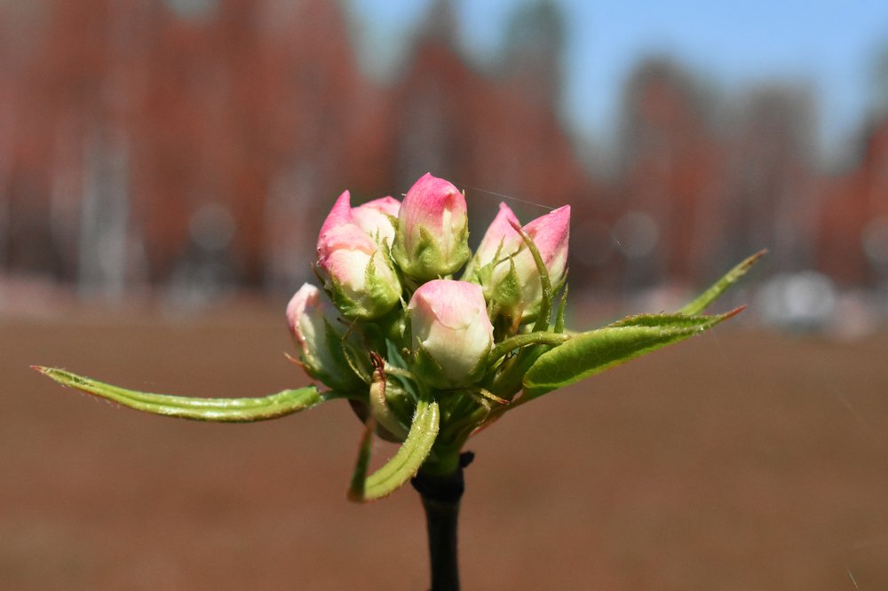 Photograph by Александр Черный