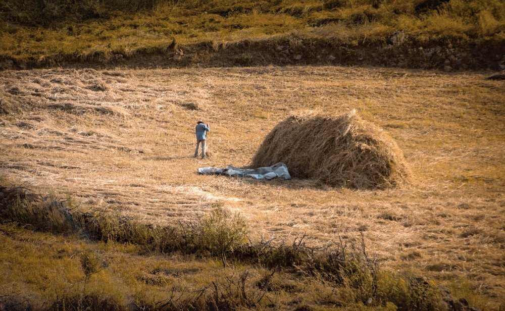 The old Agriculture in Algeria