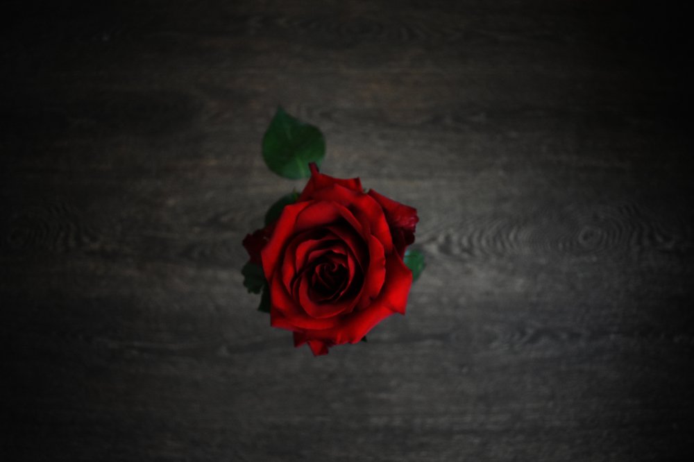 Photograph by Александр Черный