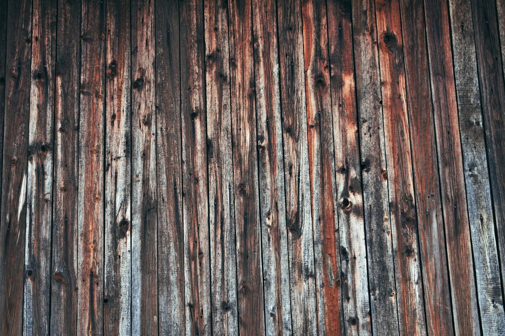 Photograph by Александр Черный