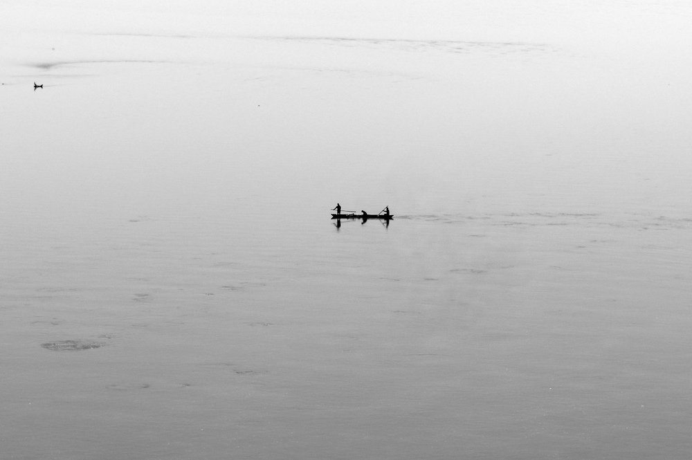 Searching