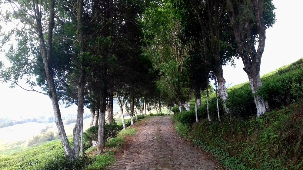 Long winding road