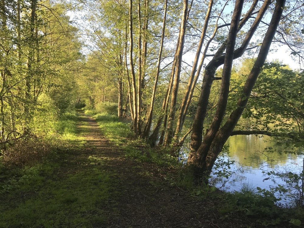 Maizièr-Lès-Metz ,Lorraine,France.