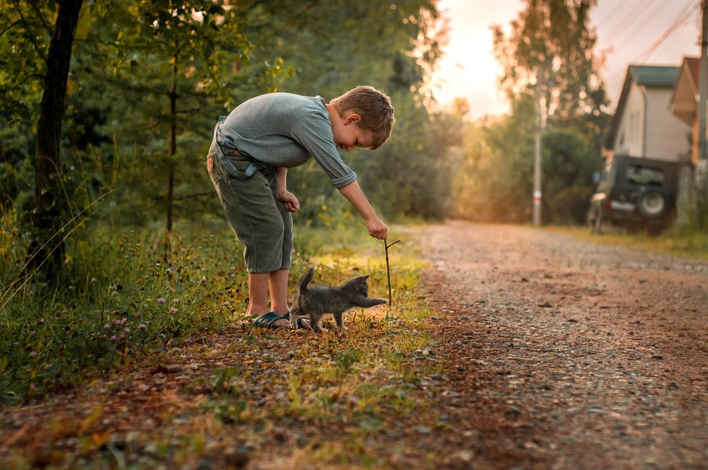 Вечер в посёлке