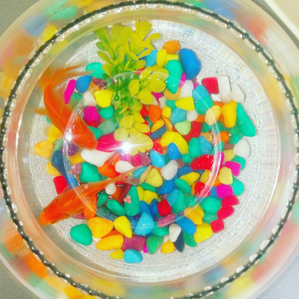 Photograph by Diwakaran D