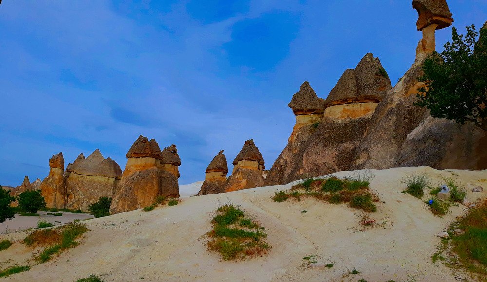 Photograph by Zinaida Nesselmann