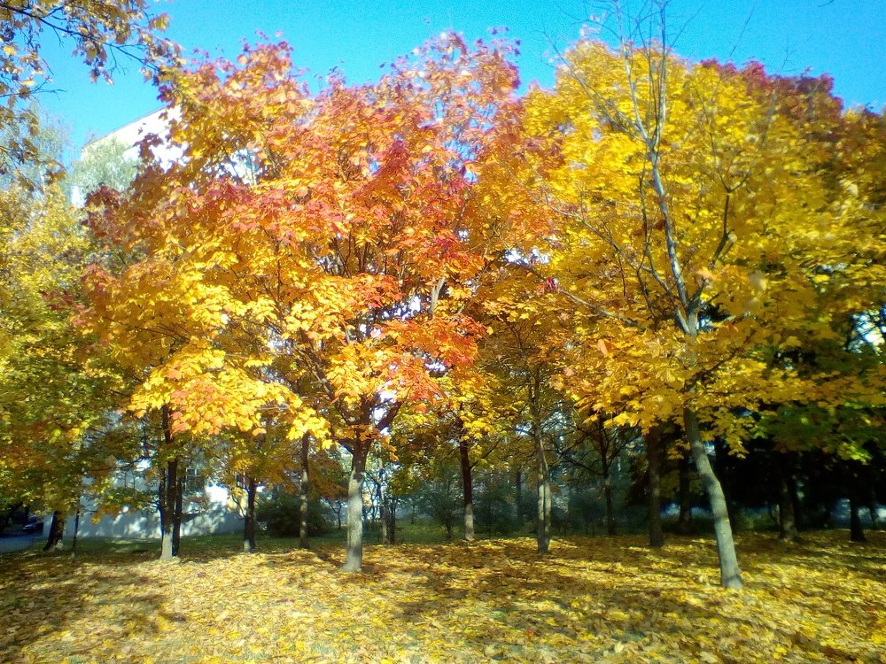 Photograph by Анна