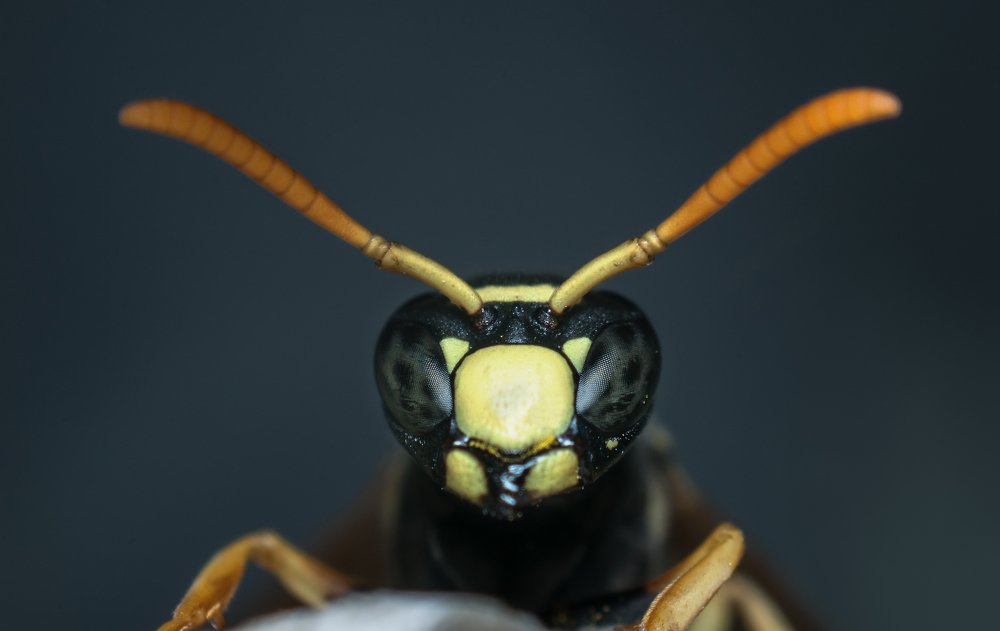 Photograph by Данил Мандрыгин