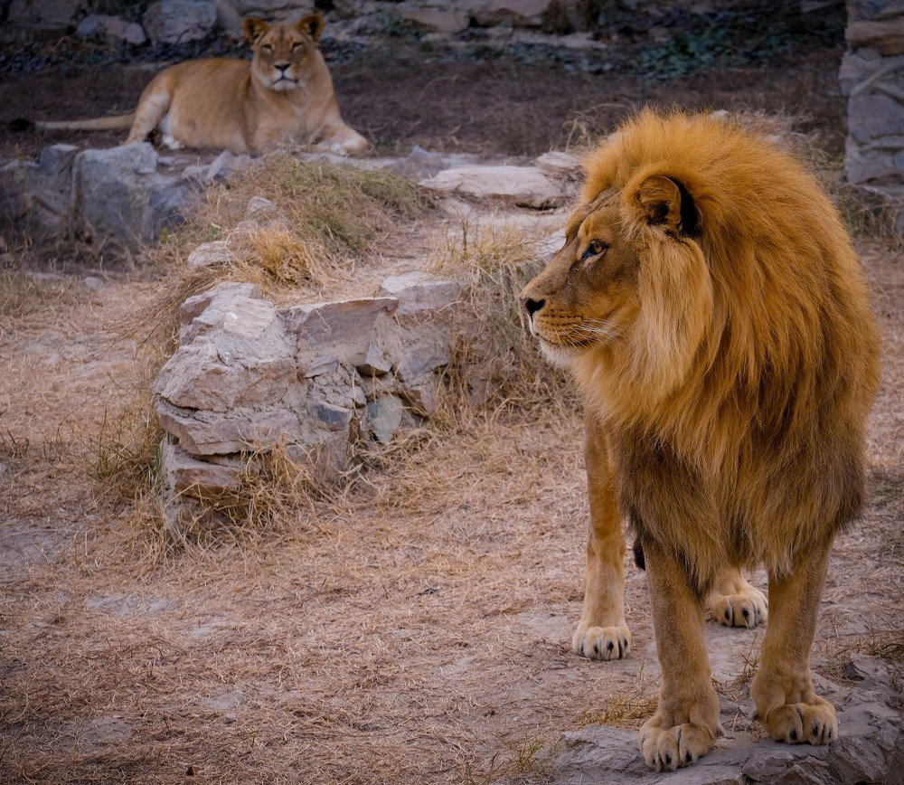 Photograph by Сильвер 