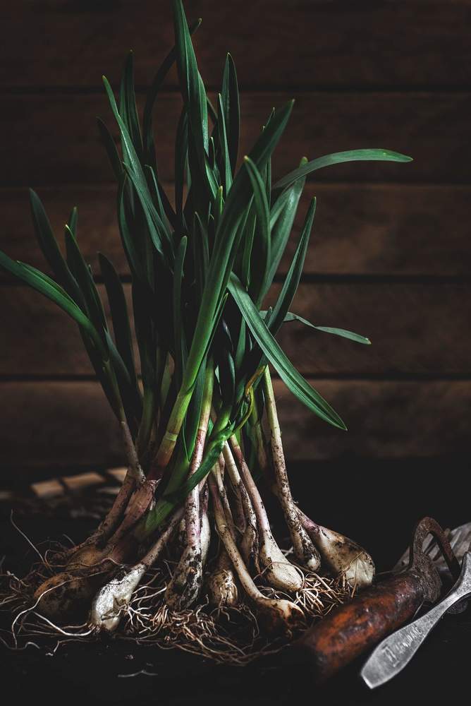 Photograph by Анна