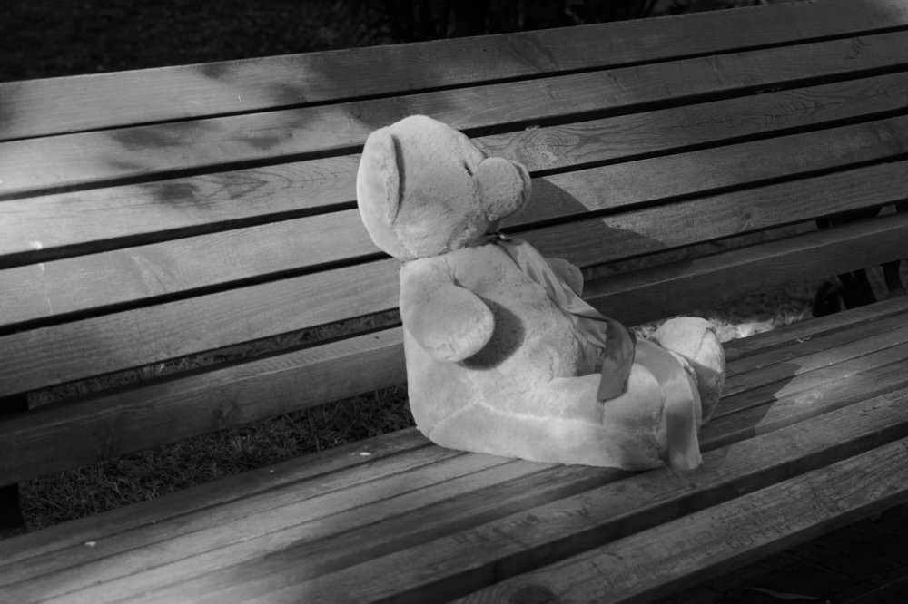 Бросила хозяйка