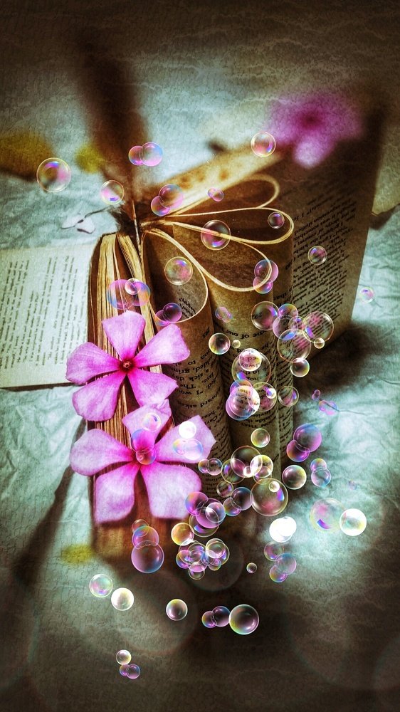 Photograph by Candy_photofactory