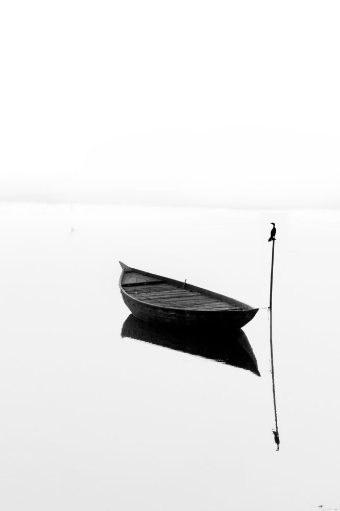 Alone