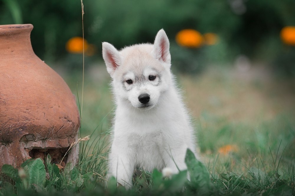 Photograph by Anna Zhidkova