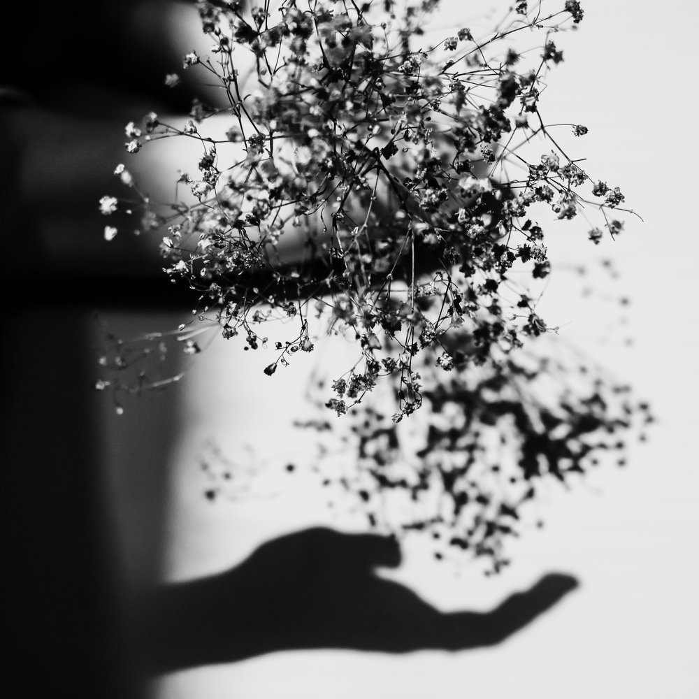 Photograph by Ксения Гербек