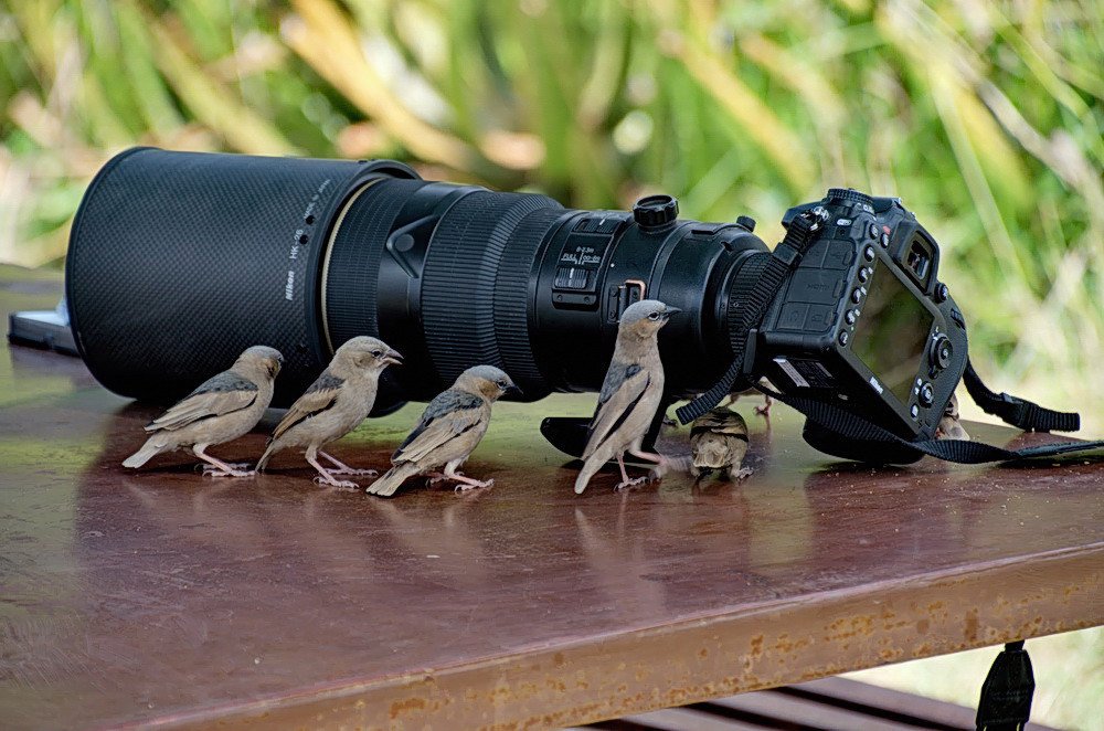 Photograph by Lev Prilutsky