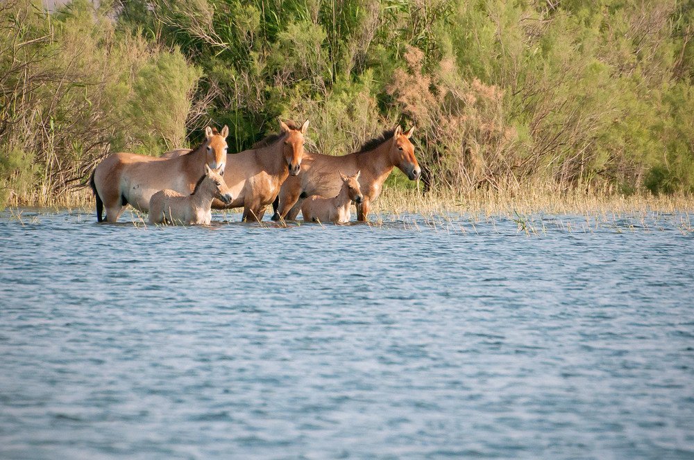 Семейные водные процедуры