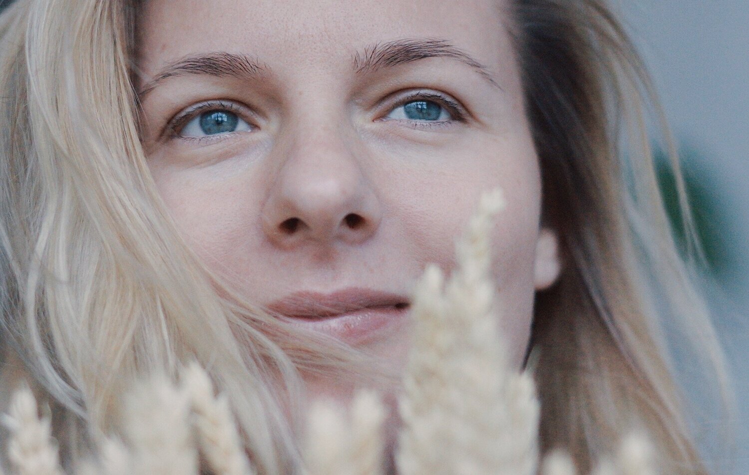 Wheat field