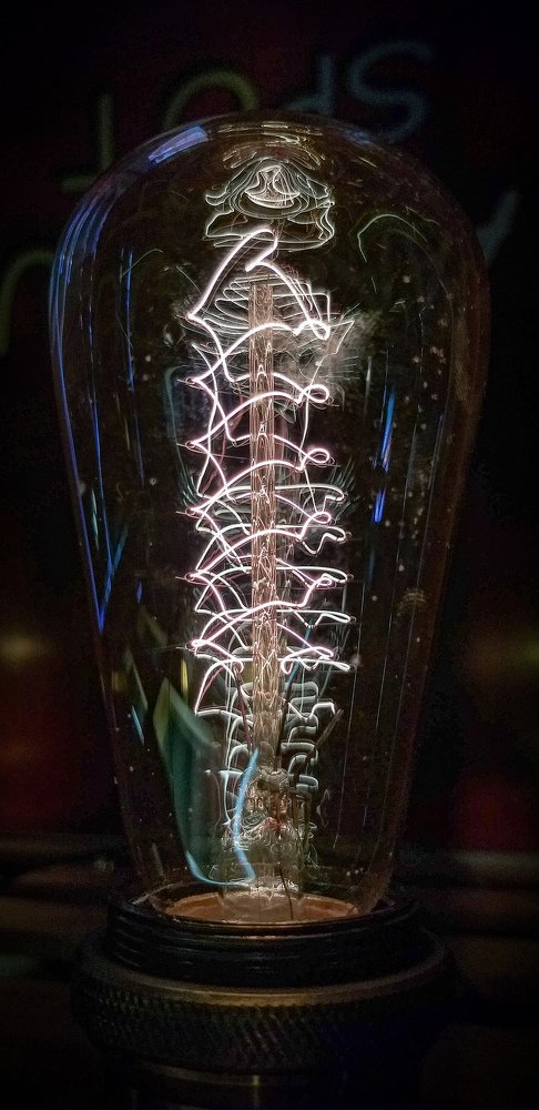 Bulb