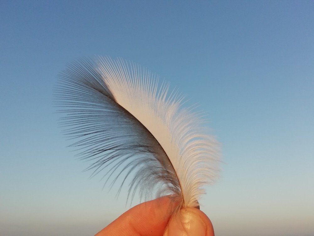 Аэро инь-янь.